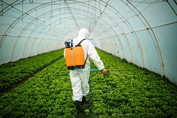 Pleasanton, TX Pest Control Company