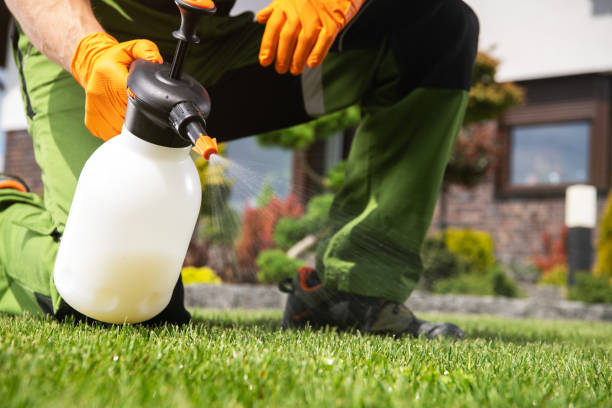 Best Best Pest Control Companies  in Pleasanton, TX