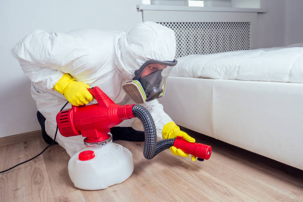Best Wasp Removal Services  in Pleasanton, TX