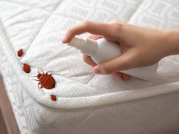 Best Bed Bug Extermination  in Pleasanton, TX