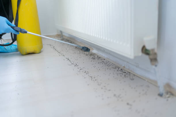 Best Wildlife Control Services  in Pleasanton, TX