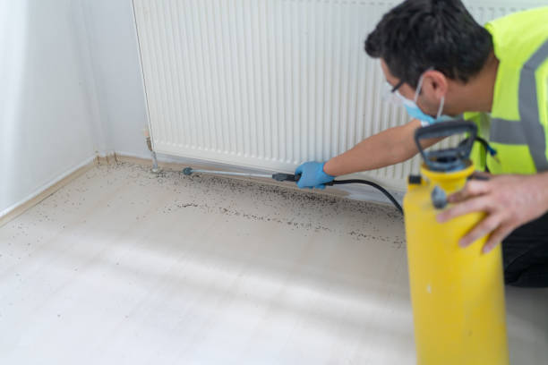 Best Pest Removal Services  in Pleasanton, TX